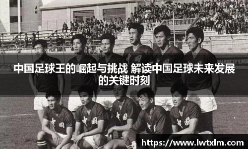 中国足球王的崛起与挑战 解读中国足球未来发展的关键时刻